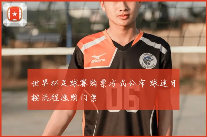 世界杯足球赛购票方式公布 球迷可按流程选购门票
