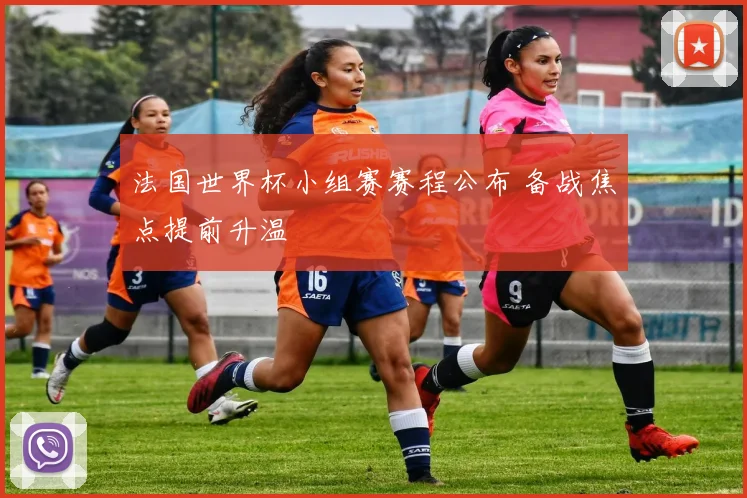 法国世界杯小组赛赛程公布 备战焦点提前升温